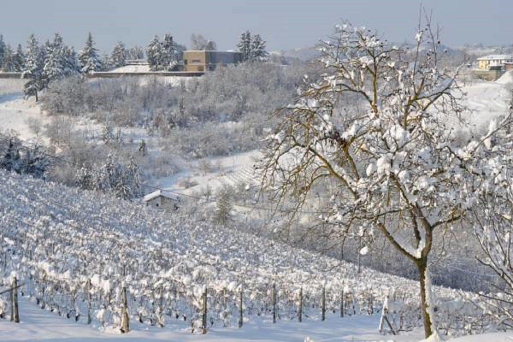 Agriturismo Costa Dei Platani Villa Acqui Terme Exterior photo