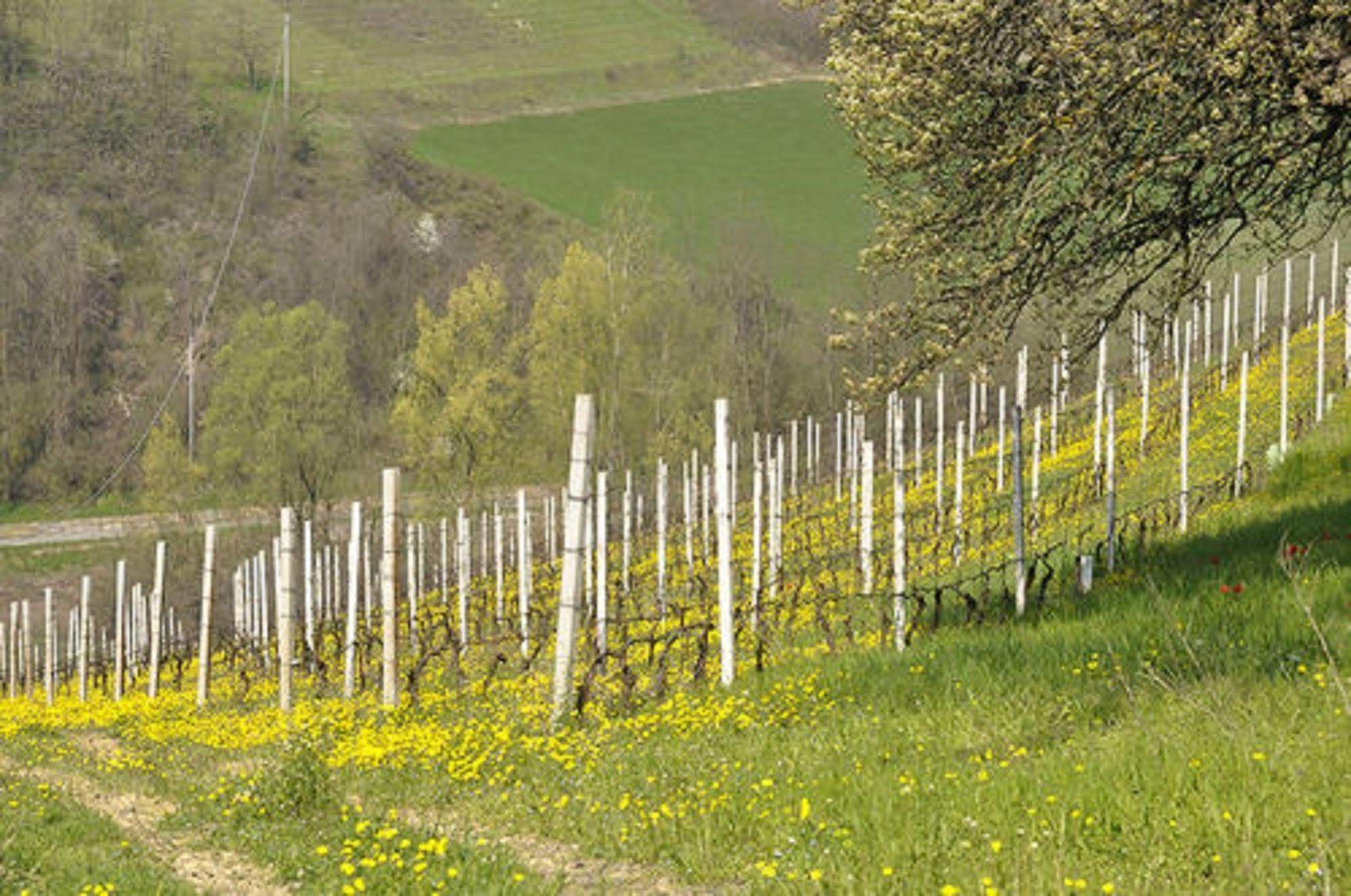 Agriturismo Costa Dei Platani Villa Acqui Terme Exterior photo